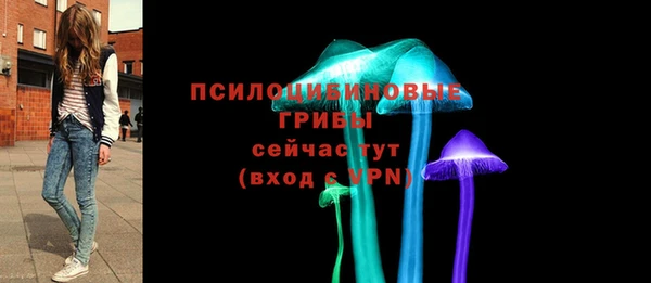 стафф Белокуриха