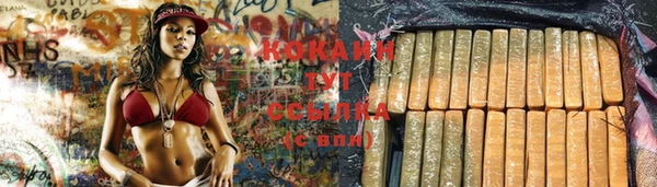 дурь Белоозёрский