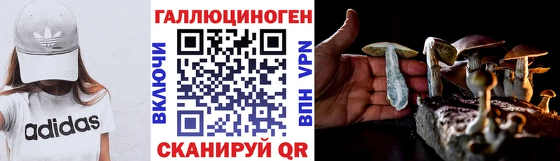 ссылка на мегу как зайти  хочу наркоту  Куса  Галлюциногенные грибы Psilocybe 